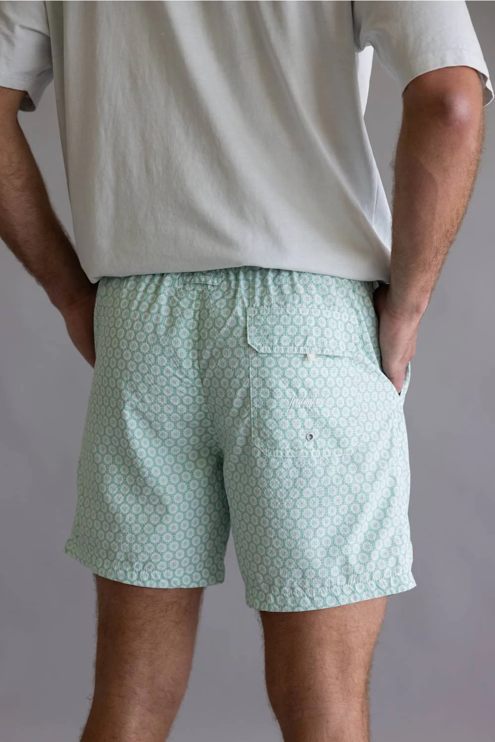 Industrie Aruba Swim Shorts for Men in Mint | MST40077-MINTCOMBO - Image 4